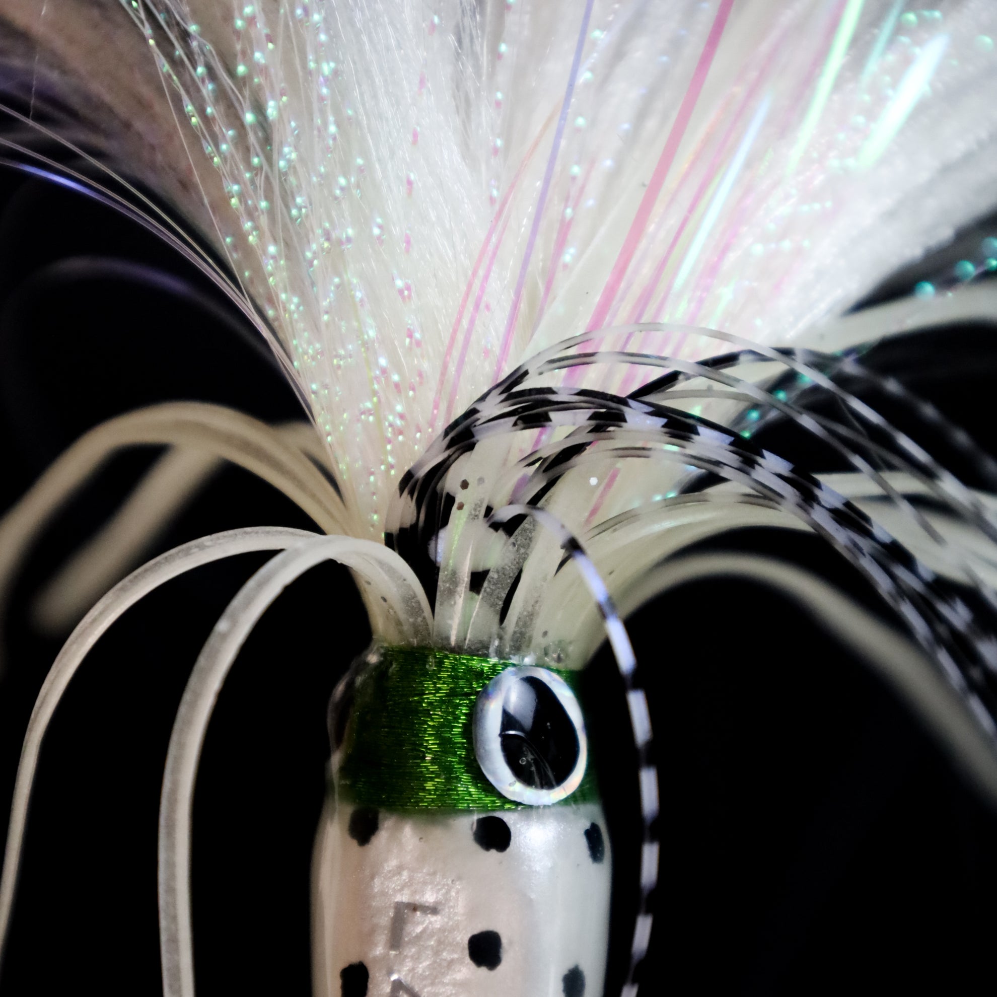 OCTOPULSE MADAÏ