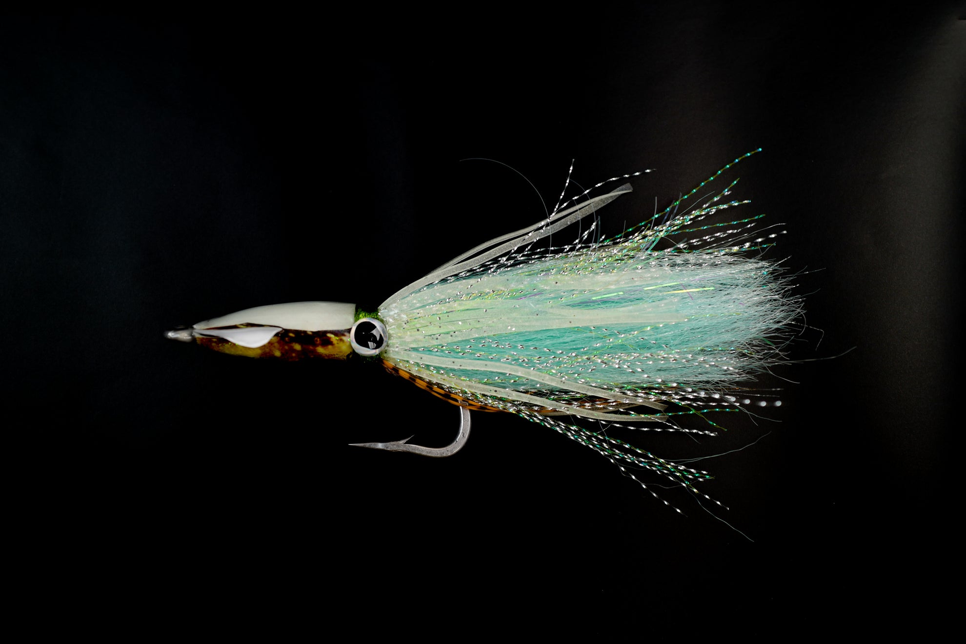 SQUIDEX