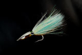 SQUIDEX