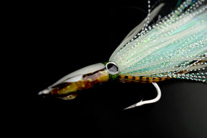 SQUIDEX